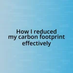 How I reduced my carbon footprint effectively