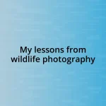 My lessons from wildlife photography