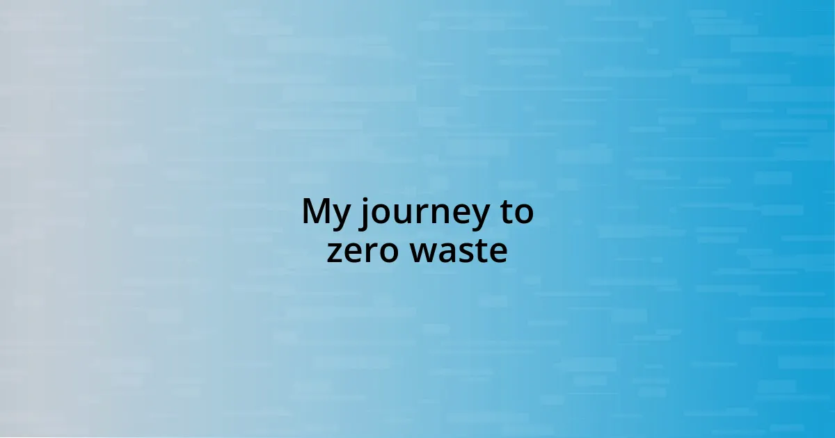 My journey to zero waste