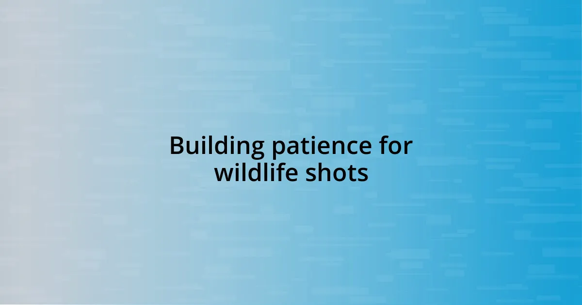 Building patience for wildlife shots